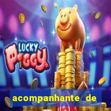 acompanhante de luxo agenda 31